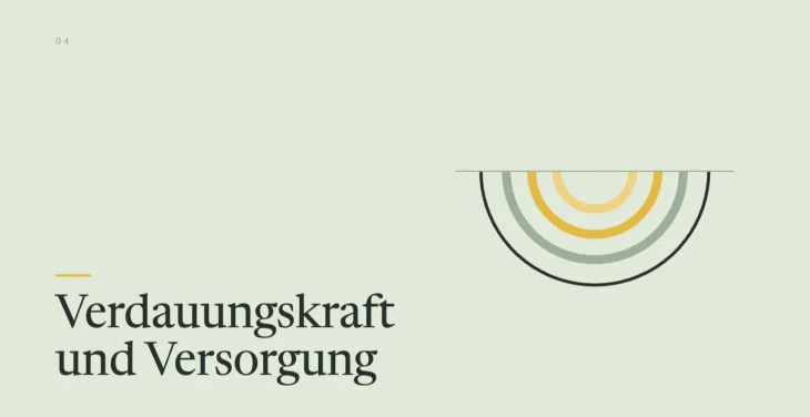 Modul 4, Die Verdauungskraft