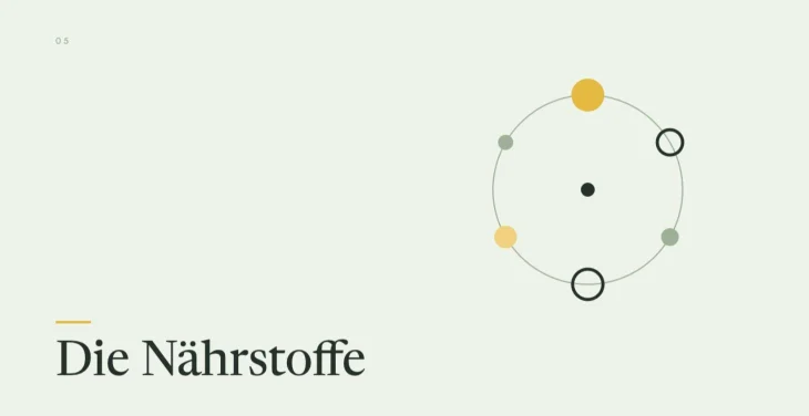 Modul 5, Die Nährstoffe
