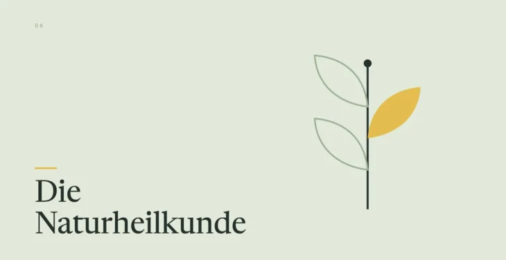 Modul 6, Die Naturheilkunde